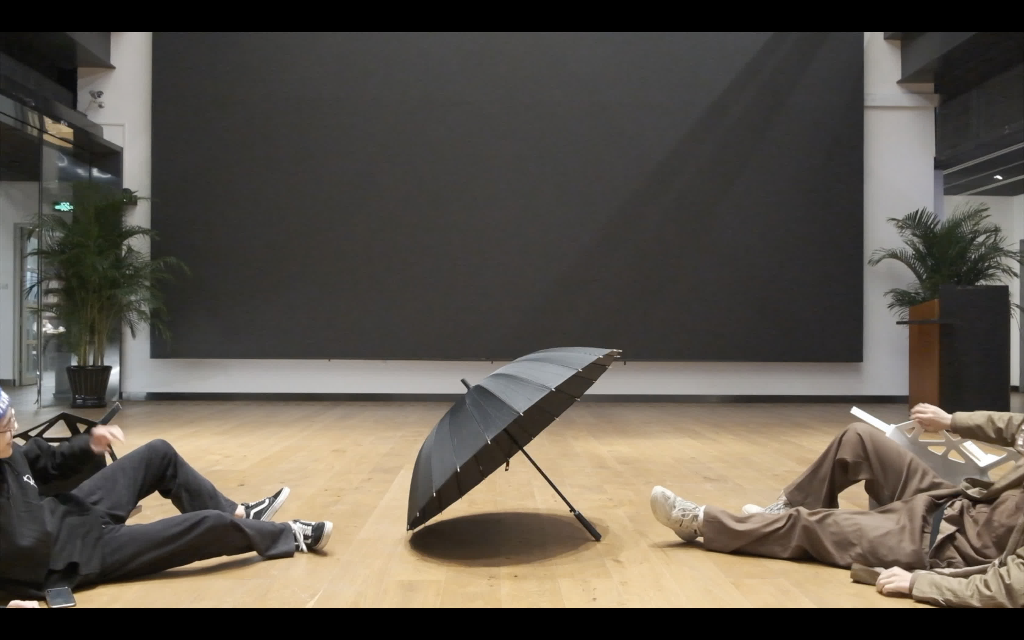 Imitation and Behavioral Interpretation