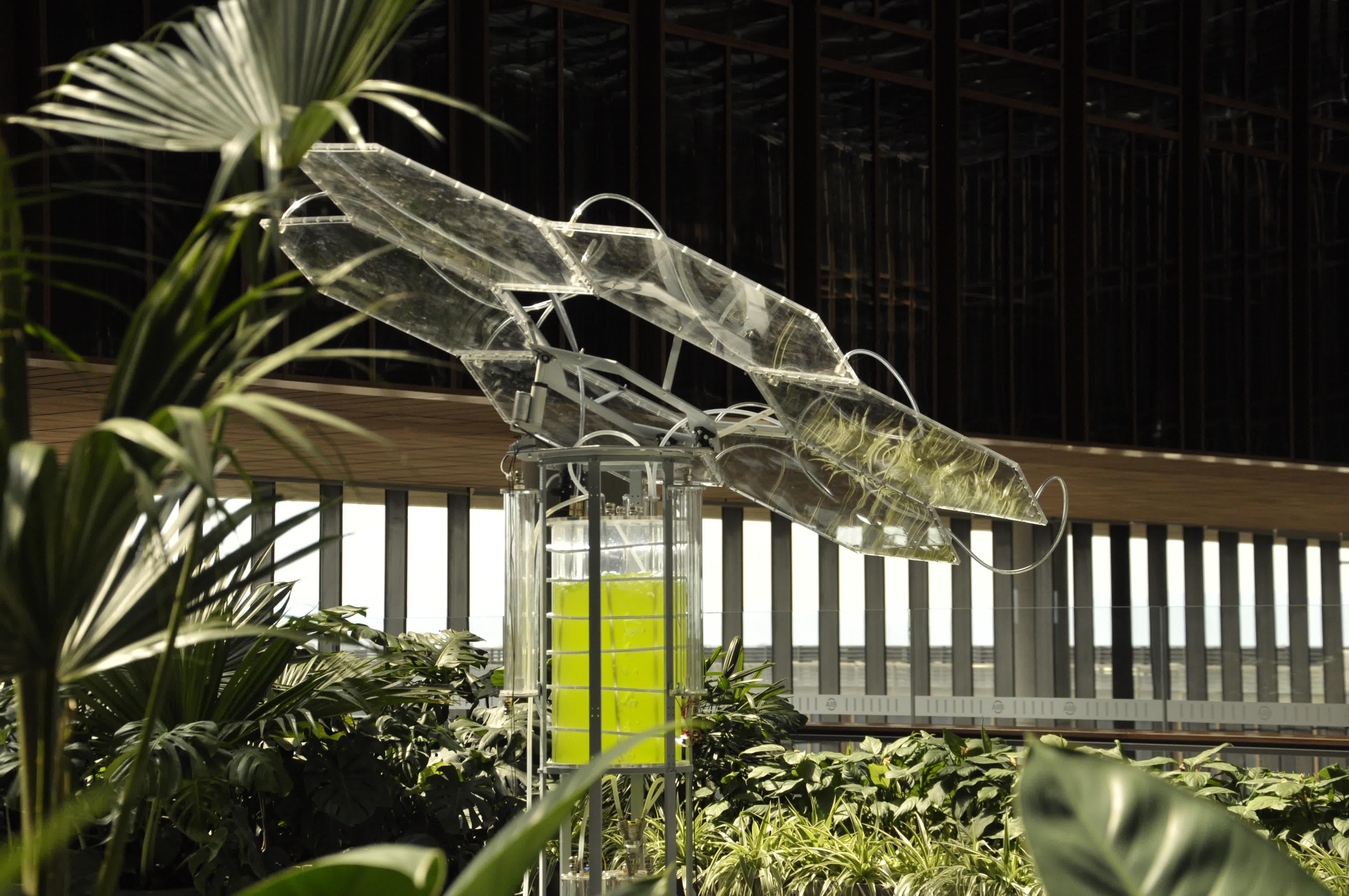 Refactoring Life Program