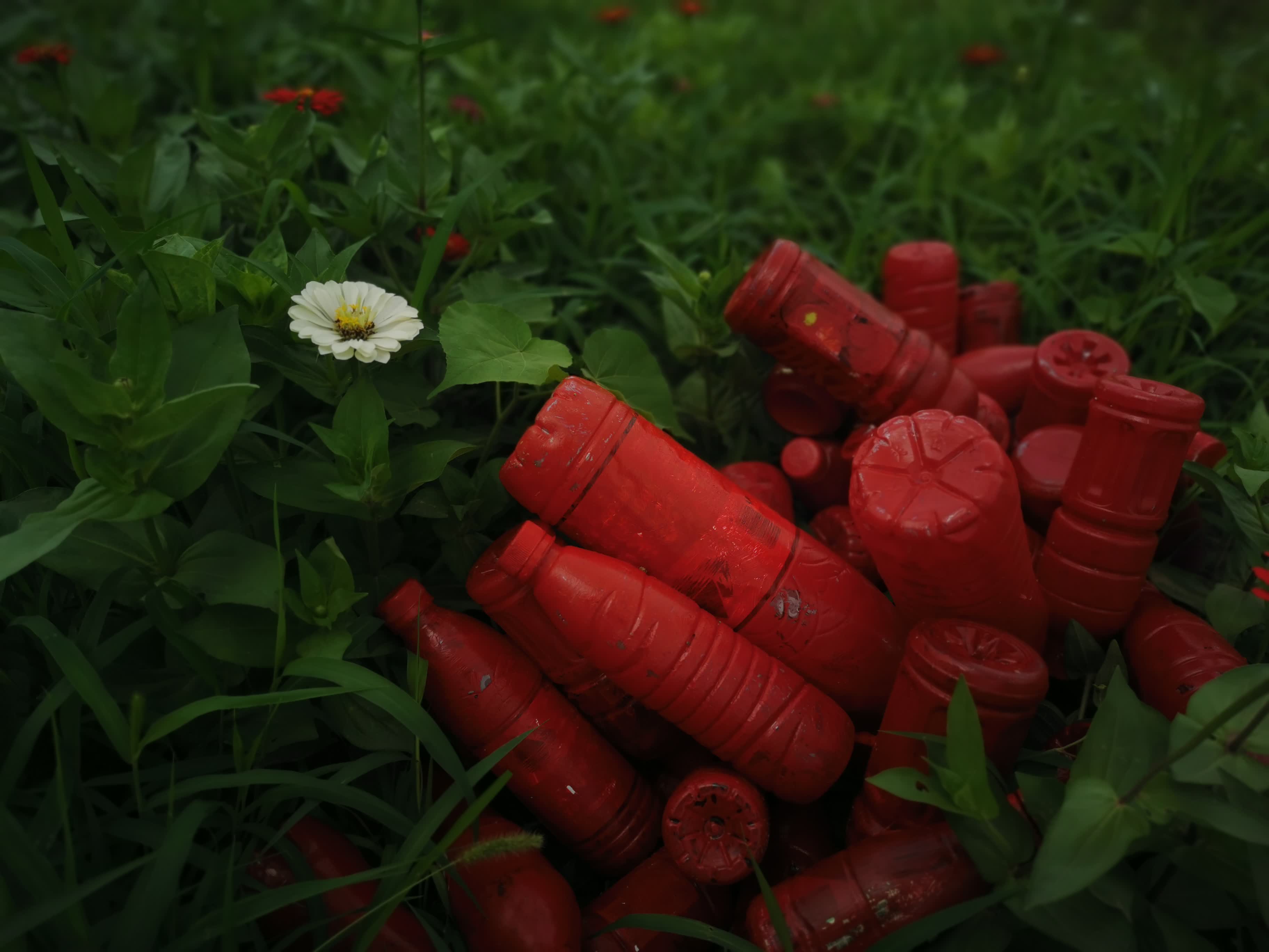 The Funeral of the Land